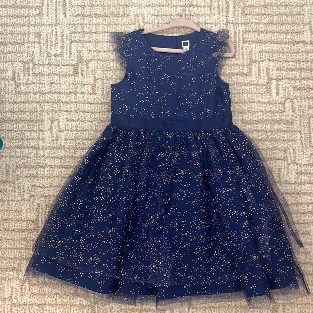 Janie and Jack deep purple special occasion dress- laters of tulle- pristine